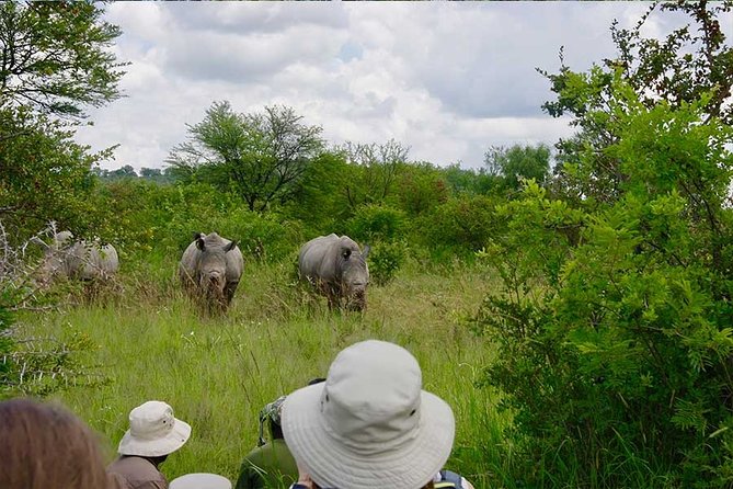 10 Day Zimbabwe and Chobe NP Tour - Why this route works so well
