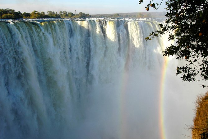 13 Days Best Of Zimbabwe - Days 3 and 4: Hwange wildlife and time to choose your pace