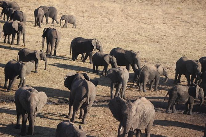 2-Day Camping Safari in Chobe National Park from Victoria Falls - Dinner by the fire and sleeping in a tent