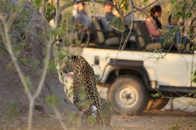 2-Day Camping Safari in Chobe National Park from Victoria Falls - The parts that require careful planning