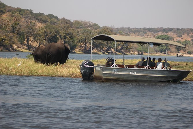 2-Day Camping Safari in Chobe National Park from Victoria Falls - Should you book it?