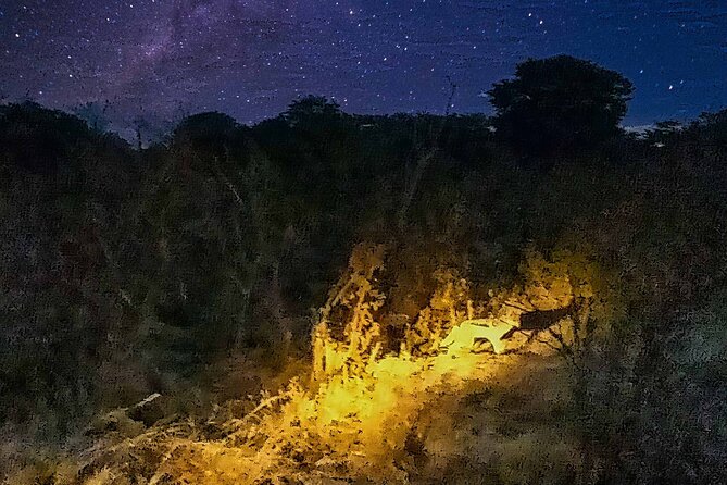 2 Hour Stargazing Tour in Victoria Falls NP Area in 4x4 - Zambezi National Park and the second hour
