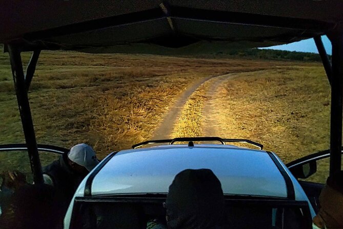 2 Hour Stargazing Tour in Victoria Falls NP Area in 4x4 - The 7 pm start and the 4x4 setting