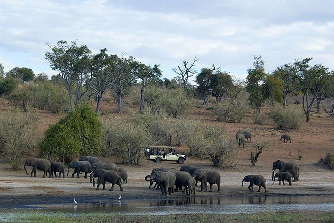 3 Day Chobe National Park Camping Safari - The Human Side of the Trip