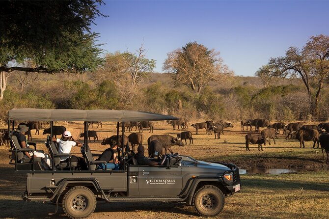 3-Day Victoria Falls Safari with Dinner Cruise - Day 3: A simple airport transfer