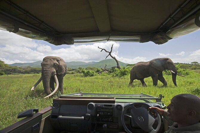 3-Day Victoria Falls Safari with Dinner Cruise - How the $850 price holds up