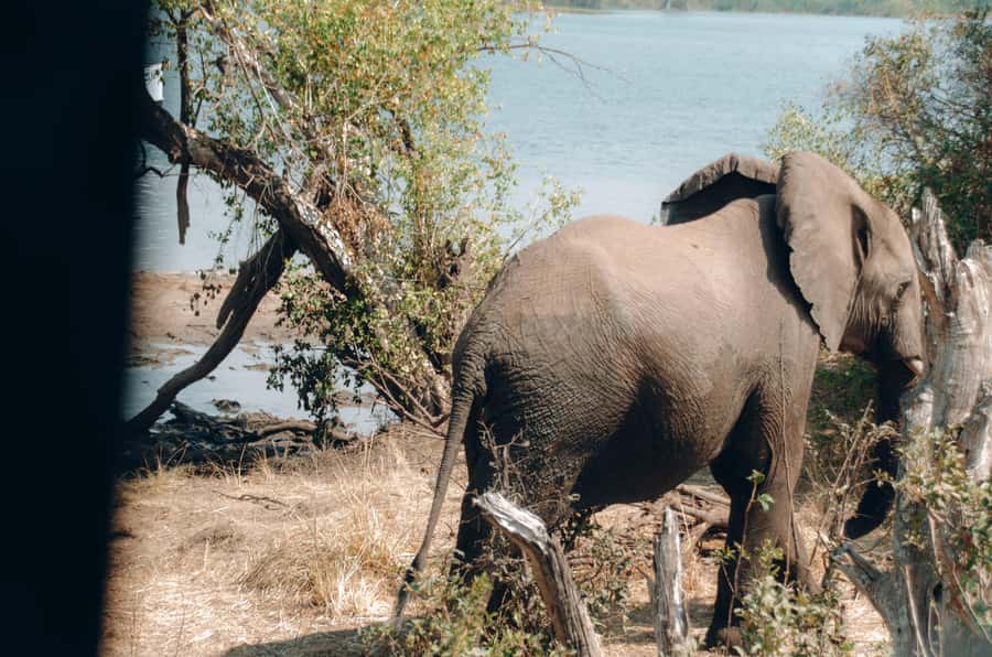 3 Days Explore Zambia, Zimbabwe and Chobe Park in Botswana - Key points to know before booking