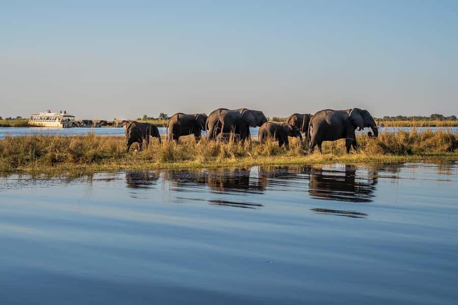 3 Days Explore Zambia, Zimbabwe and Chobe Park in Botswana - Day 2: Mukuni Village and Zimbabwe’s wider Falls views