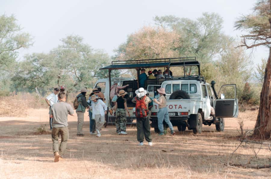 3 Days Explore Zambia, Zimbabwe and Chobe Park in Botswana - Guides, transport, and the pace of the days