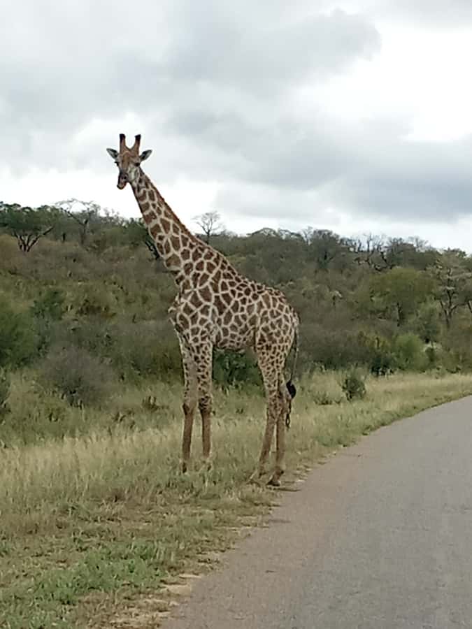 3 Days Victoria Falls and Full day Chobe National Park - What the $290 price really covers
