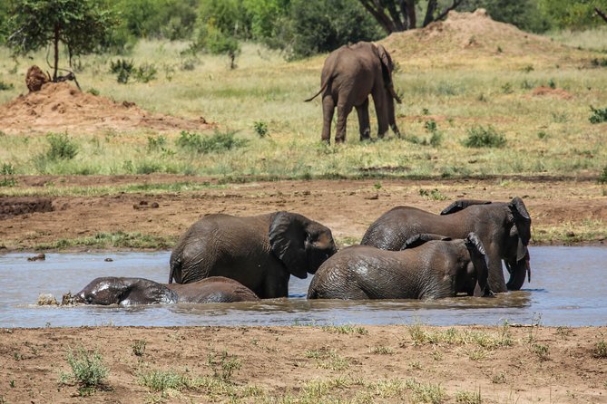 4-Day Discover Victoria Falls, Chobe and Hwange Park - Three nights at Dzimbahwe Guest Lodge