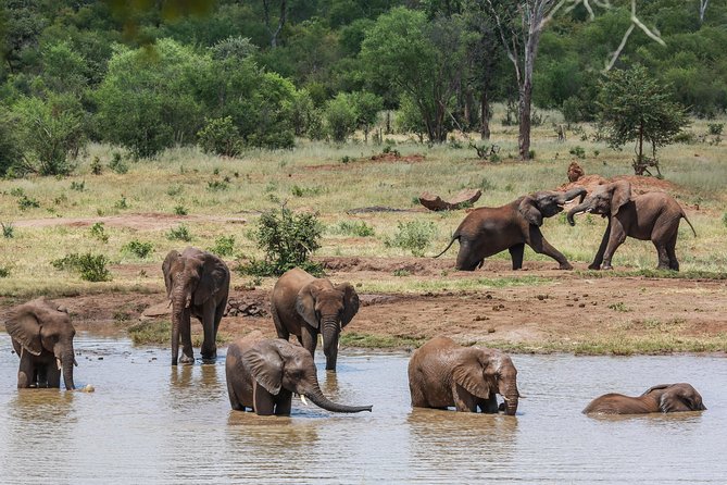 4-Day Discover Victoria Falls, Chobe and Hwange Park - Who should choose this safari package