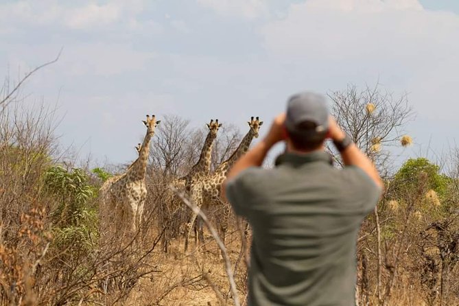 4 Days Victoria Falls Zimbabwe with Chobe National Park Safari Botswana and Livingstone Zambia - Who will get the most from this tour