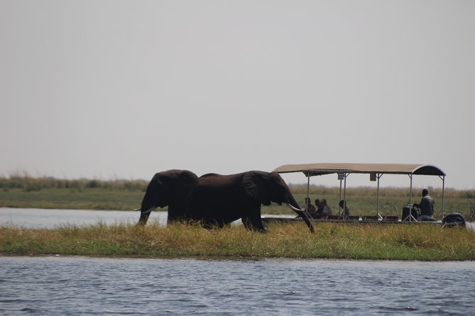 5-DAY Victoria Falls and Chobe National Park - Day 1: From arrival transfer to a Zambezi sunset