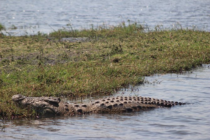5-DAY Victoria Falls and Chobe National Park - Day 4: Use your free day wisely