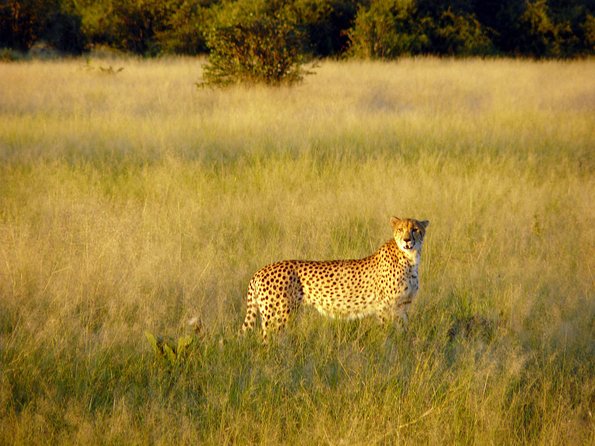 5 Day Victoria Falls and Chobe National Park Camping Tour - Is $2,000 a fair price?