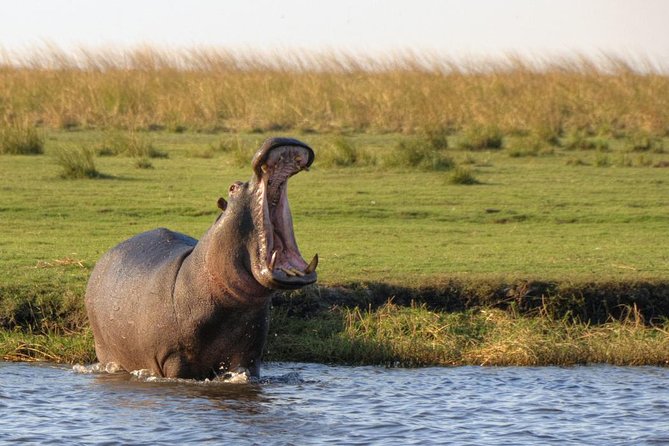 5 Day Victoria Falls and Chobe National Park Luxury Accommodated Tour - Your First Evening: Sunset and Wildlife