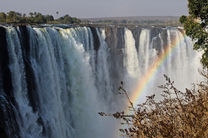 5 Day Victoria Falls and Chobe National Park Luxury Accommodated Tour - Two Days in Chobe National Park