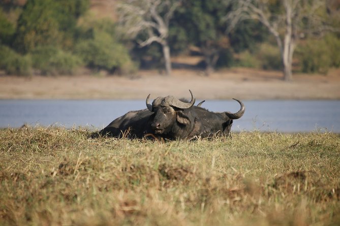 5 Day Victoria Falls and Chobe National Park Luxury Accommodated Tour - Simon, the Guiding Team, and Service