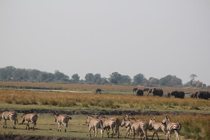 5-DAY Victoria Falls and Chobe National Park - Day 2: Victoria Falls and a working African village