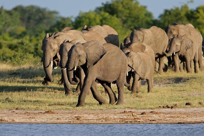 5 Day Victoria Falls and Hwange National Park Accommodated Safari Tour - Key points to know before booking