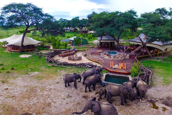 5 Day Victoria Falls and Hwange National Park Accommodated Safari Tour - Day 2: Victoria Falls needs time, not just a photograph