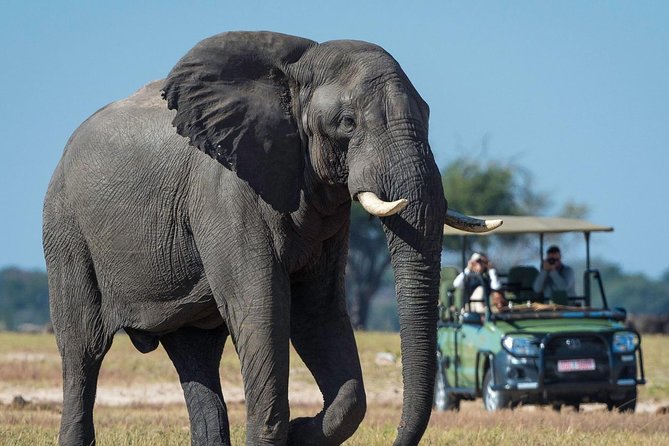 5 Day Victoria Falls and Hwange National Park Accommodated Safari Tour - What $1,800 per person really covers
