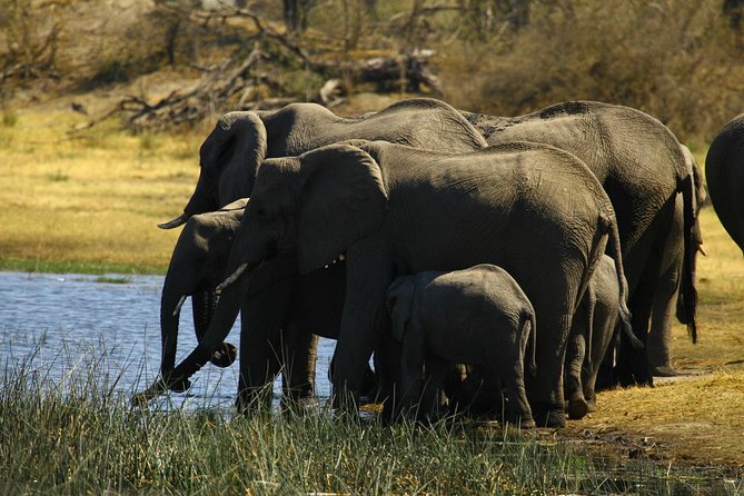 5 Day Victoria Falls and Hwange National Park Accommodated Safari Tour - Communication and the role of Simon