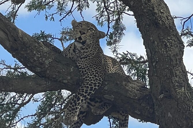 5-Day Visit Zimbabwe, Zambia, Botswana & Namibia Island - Day 1: A golden-hour start on the Zambezi