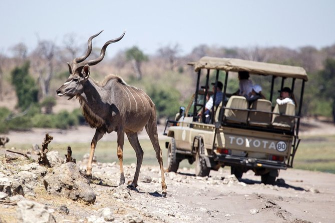 6-day Hwange, Chobe & Victoria Falls Combo - Three parks and a waterfall in six days