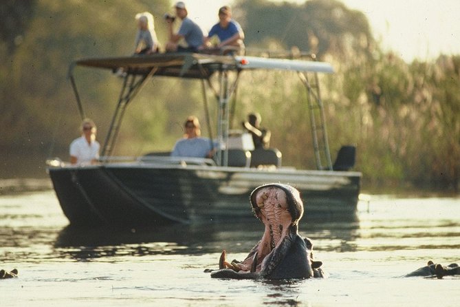 6-day Hwange, Chobe & Victoria Falls Combo - Days 2 and 3: More time in Hwange