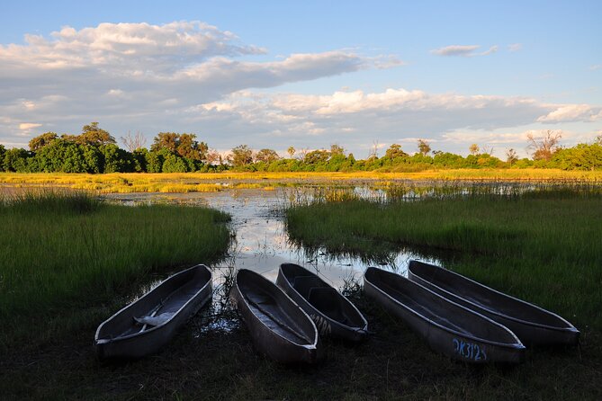 6 Days Victoria Falls Chobe Wildlife and Okavango Delta Tour - From Victoria Falls to Chobe in 90 minutes