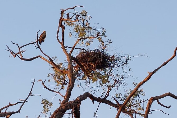6 Days Victoria Falls Chobe Wildlife and Okavango Delta Tour - Day 3: the stark silence of Makgadikgadi