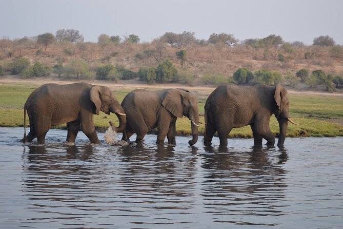 6 Days Victoria Falls Chobe Wildlife and Okavango Delta Tour - Day 5: into the Okavango by mokoro