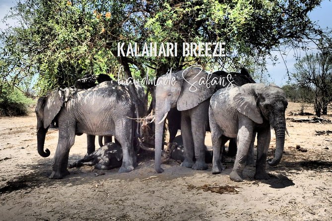 7 Day Highlights Of Botswana Overland Tour – ACCOMODATED (midrange) - Elephant Sands and the appeal of waiting