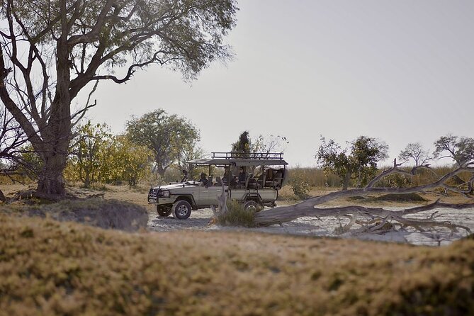 8 Day Chobe NP, Elephant Sands, Okavango Delta & Victoria Falls - Why this route works for an eight-day safari