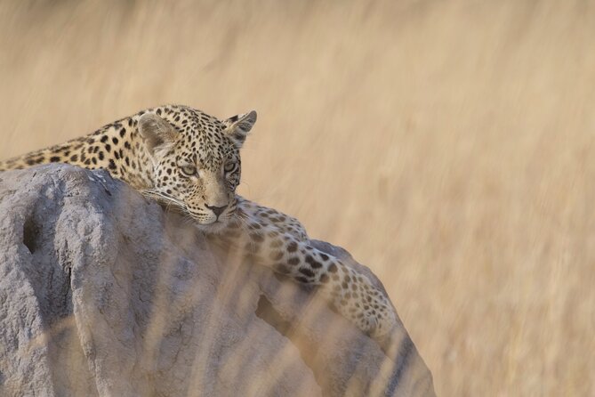8 Day Chobe NP, Elephant Sands, Okavango Delta & Victoria Falls - Day one: Victoria Falls and a golden Zambezi sunset