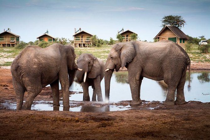 8 Day Highlights Of Botswana & Victoria Falls Overland Tour - Day 5: Meerkats, quad bikes, and the road to the Delta