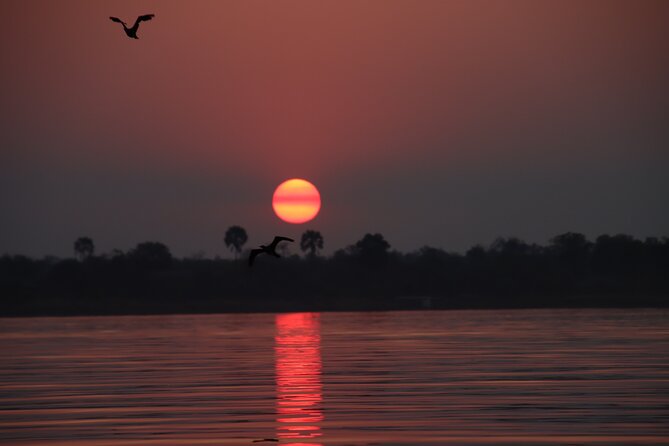 Adrenaline Jet Boat Safari in Victoria Falls - Searching for elephants and other wildlife