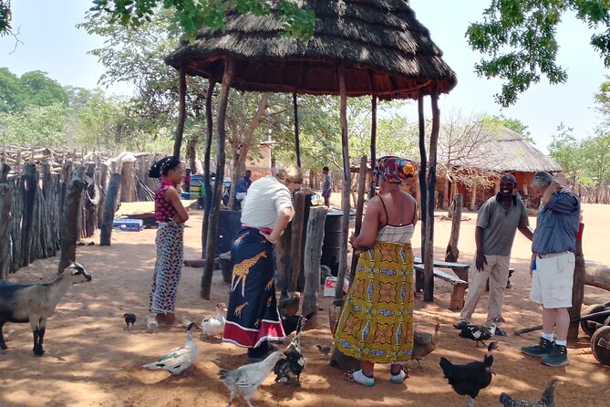 African Village Tours - What the two-and-a-half-hour visit includes