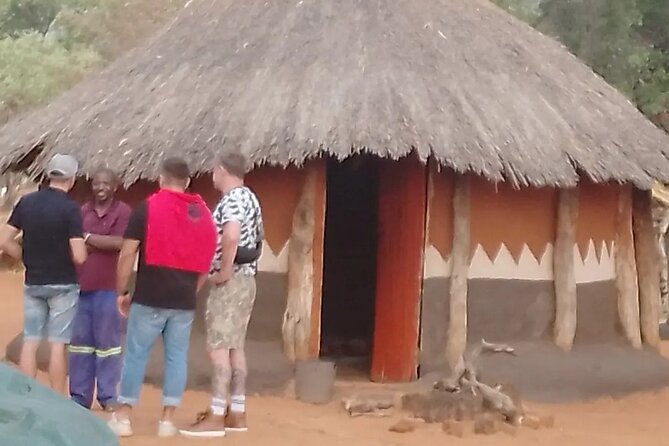 African Village Tours - The bush, cattle, and work outside the village