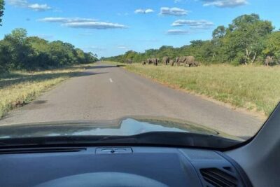 Airport, Hotel and local transfers in Victoria Falls