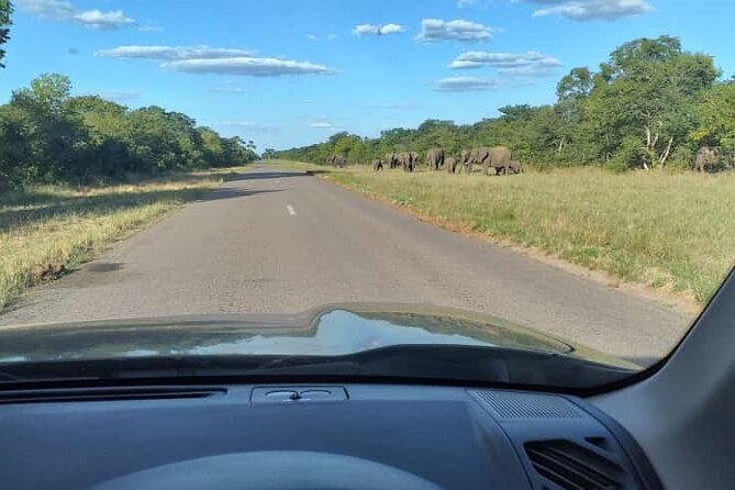 Airport, Hotel and local transfers in Victoria Falls - Private or shared service: choosing the right ride