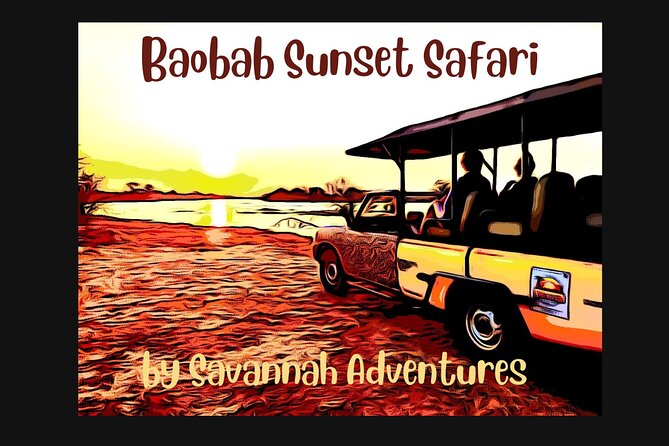Baobab-Sunrise-Sunset-Vulture-Moonlight Safaris, 4 Options - A Victoria Falls safari that starts in town