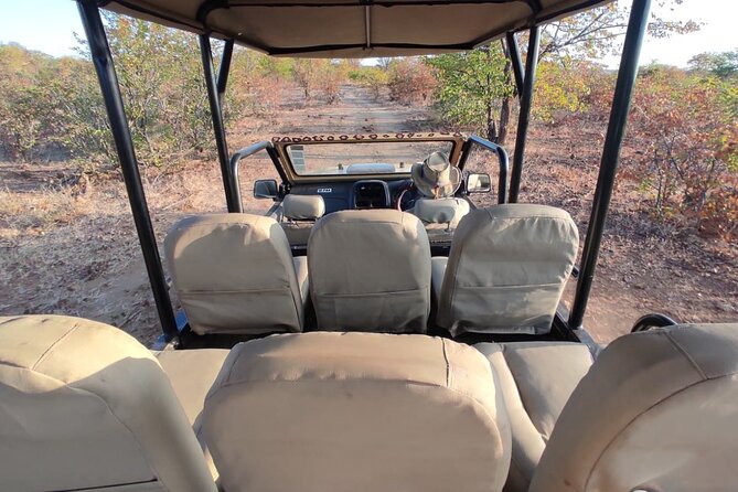 Baobab-Sunrise-Sunset-Vulture-Moonlight Safaris, 4 Options - What to bring and how to prepare
