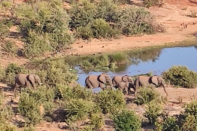 Baobab-Sunrise-Sunset-Vulture-Moonlight Safaris, 4 Options - Who will enjoy this safari most?
