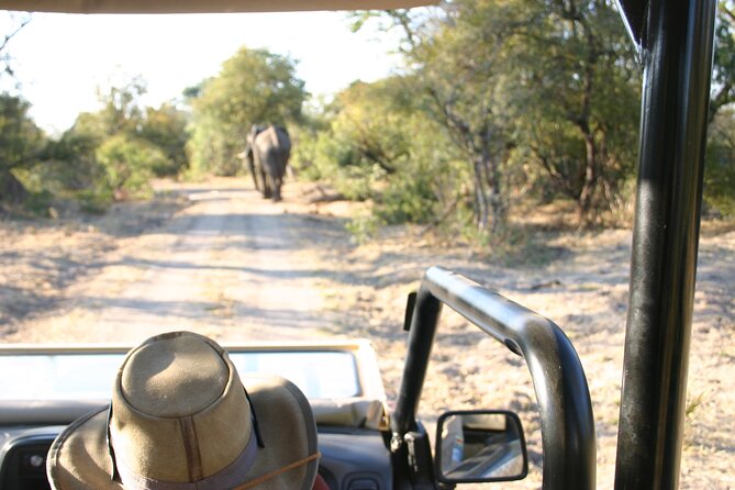 Baobab-Sunrise-Sunset-Vulture-Moonlight Safaris, 4 Options - Bush country and the short Zambezi gorge stop