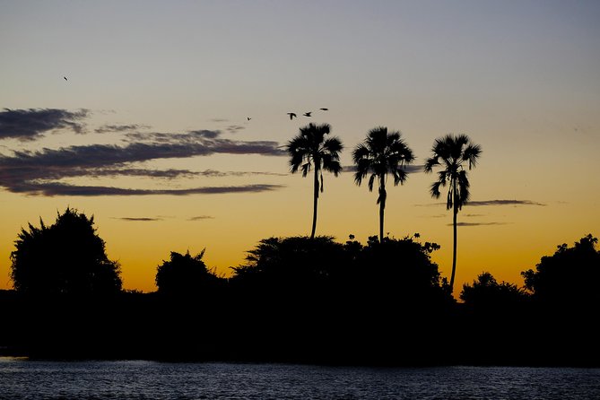 Birdwatching Cruise in Zambezi River with Breakfast - Who should book this morning cruise