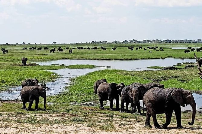 Boma Dinner & The Drum Show Experience - The three-hour plan at Victoria Falls Safaris