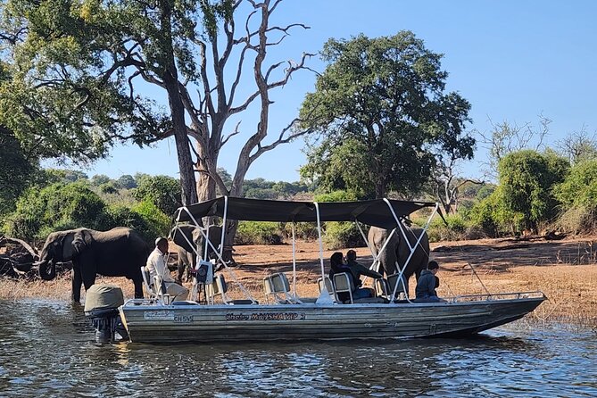 Chobe Botswana Day Trip River and Land Safari from Victoria Falls - Why the jeep and boat combination works so well